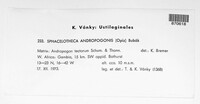 Image Associated With the Occurrence